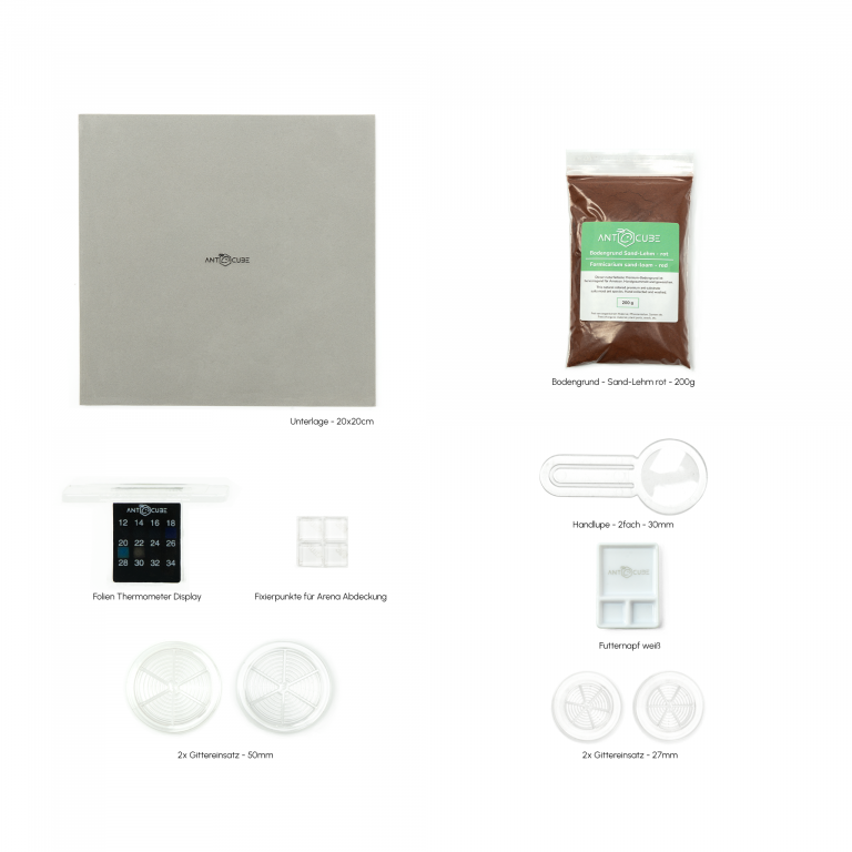 Bundle Offer - Lasius niger